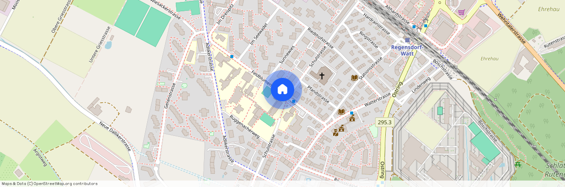 8105, Regensdorf, Feldblumenstrasse