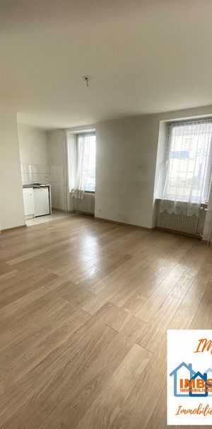 Appartement à louer à Brunstatt Didenheim - Photo 1