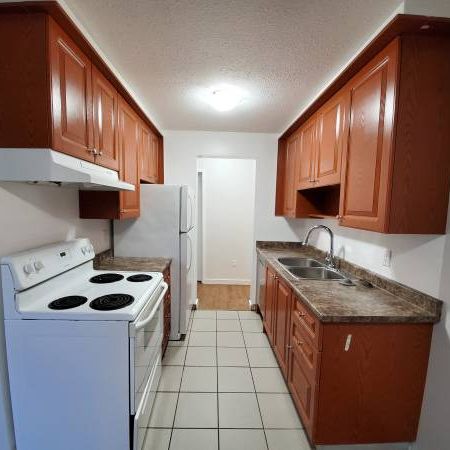 New Westminster 2 bedroom + Den apartment available on February 15th - Photo 1