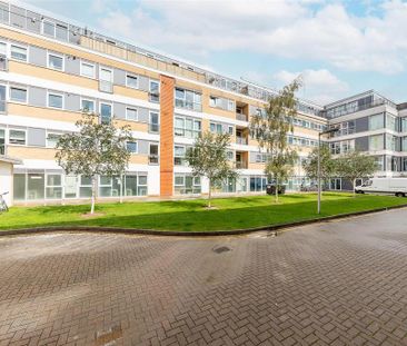 3 bedroom apartment to rent - Photo 5