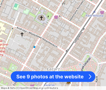 Niegolewskich, Klimatyczna kawalerka w kamienicy, Blisko dworca i MTP! - Photo 1