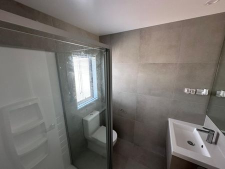 Just In time for Christmas - Photo 3