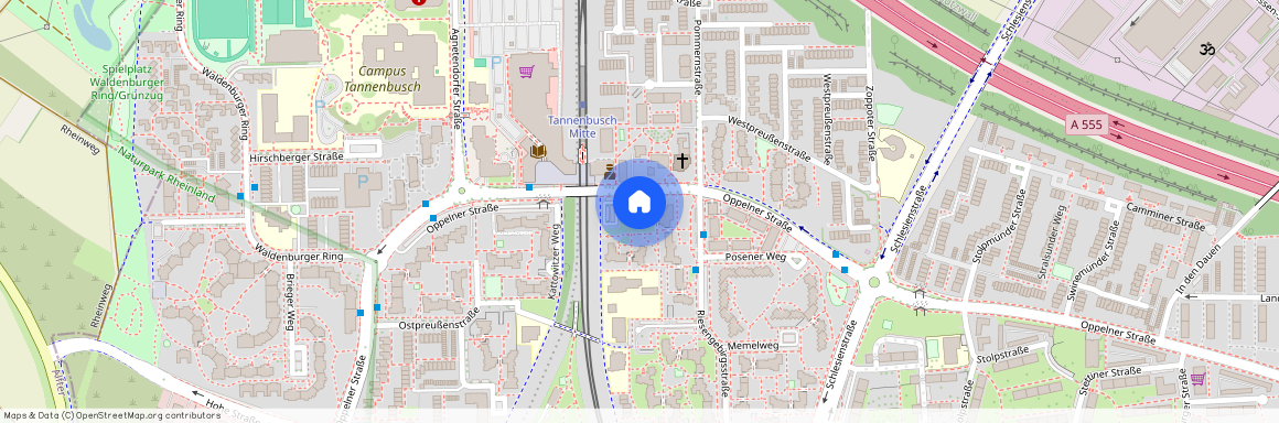 Bunzlauer Weg 2, 53119 Bonn - Tannenbusch