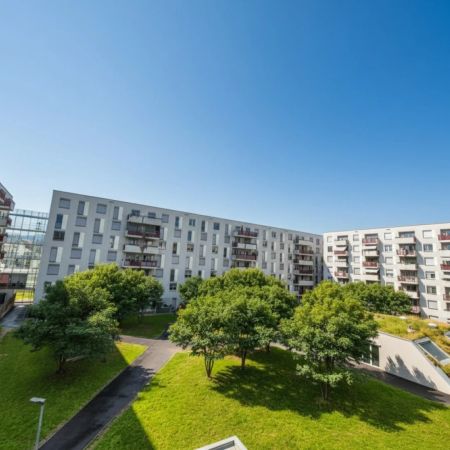 Wohnen am Eggenberger Gürtel - 3 Zimmer - Foto 4