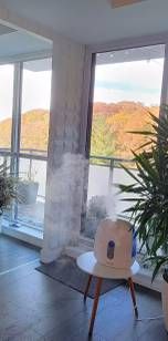 Spacious and Quiet 2 Bedroom Suite with Calming Nature Views - Photo 1