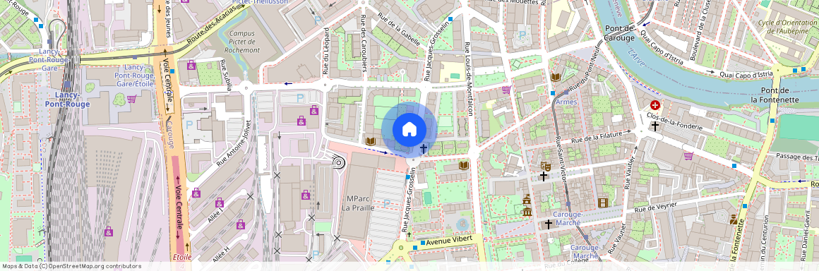 1227, Carouge GE, Rue Jacques-Grosselin, 26