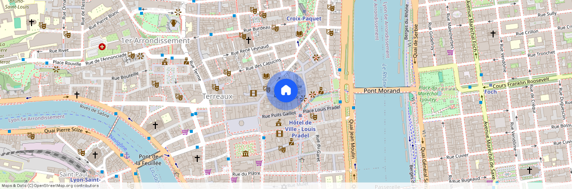 13 RUE DESIREE, LYON 1ER ARRONDISSEMENT Capucins-Griffon