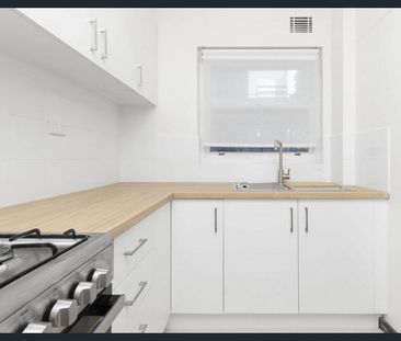 Renovated City Unit - Photo 4