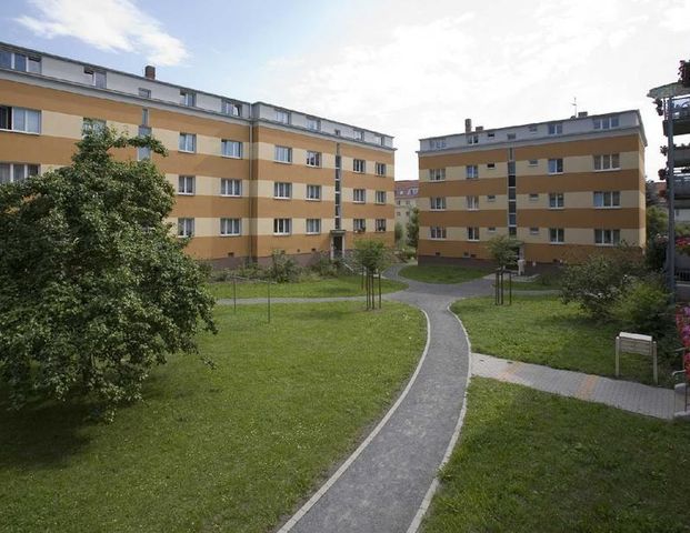 charmante frisch sanierte Wohnung mit Balkon sucht neue Mieter - Foto 1