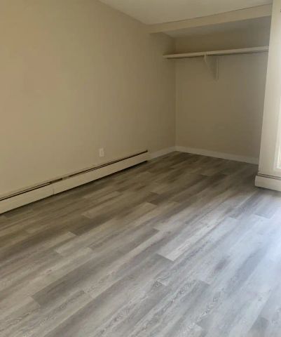 7715 159st — Bi- Level 2 Bedroom 1 Bath - Photo 3