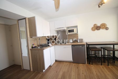 Location Appartement 1 pièce 25m² - Photo 3