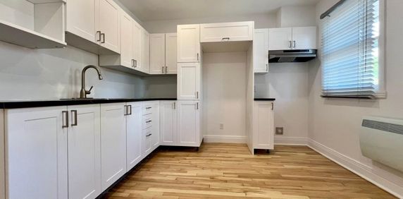 3.5 entièrement rénové dans Rosemont, 1er mois de loyer gratuit !! - Photo 2