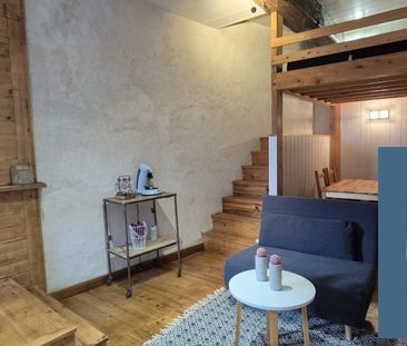 Location Appartement 1 pièce 22m² BOURGOIN JALLIEU 38300 - Photo 3