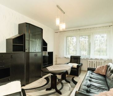 Mieszkanie wynajem Gorzów, os. Staszica, 3 pokoje, 52 m - Photo 5