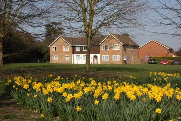 Bisley, Woking - Photo 1