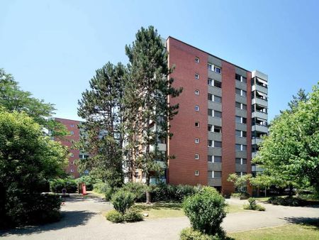 3.5 Zimmer, 82 m², 7. Stock - Foto 5