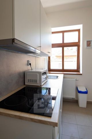 Pronájem bytu 1+kk 17 m2 - Fotografie 5