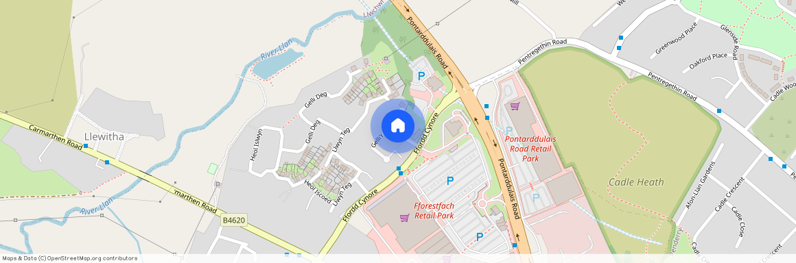 Gelli Rhedyn, Fforestfach, Swansea