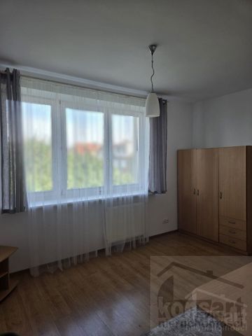 Pińska, ZACHODNIOPOMORSKIE, GUMIEŃCE, Szczecin - Zdjęcie 4