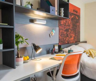 Premium Studio - Photo 4