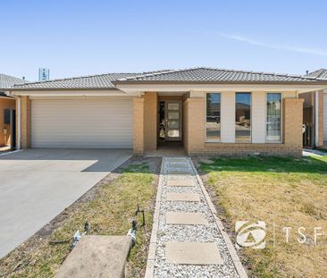 13 Saltbush St, Jackass Flat - Photo 5