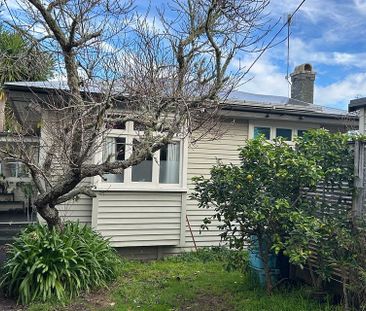 Room in Mt Eden flat - Photo 4