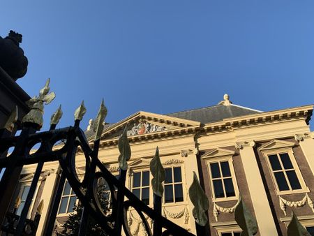 Laan van Roos en Doorn 47-F, Willemspark, 2514BC, Den Haag - Photo 4