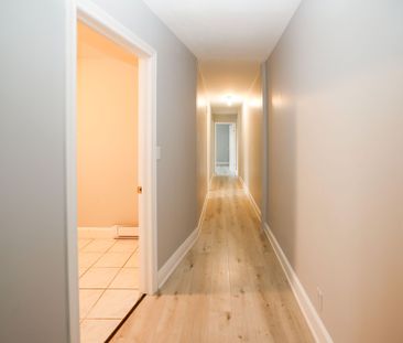 For Lease - 37 Holland Street Unit# 1, Bradford West Gwillimbury, O... - Photo 3