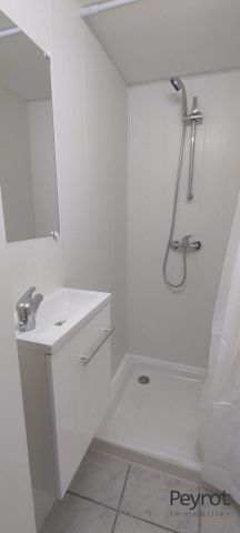 Location Appartement 1 pièce 28m² CABESTANY 66330 - Photo 4