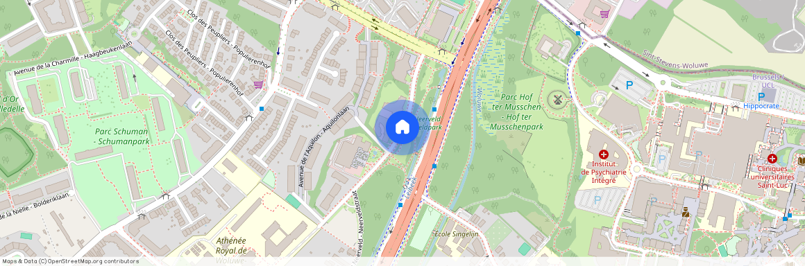 Rue Neerveld - Neerveldstraat 105E, 1200 Woluwe-Saint-Lambert - Sint-Lambrechts-Woluwe, Belgium