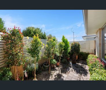 16 Daffodil Road, Canning Vale, WA 6155 - Photo 3