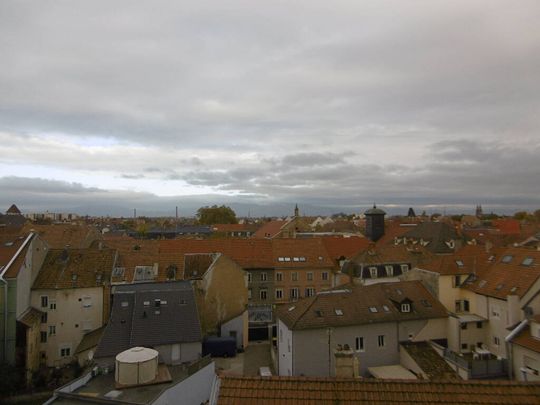 Location appartement 2 pièces 29.43 m² à Mulhouse (68100) - Photo 1