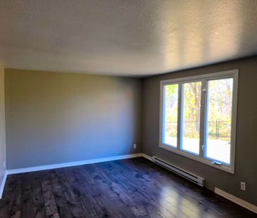 For Lease - 2515 River Road Unit# 3, North Grenville, Ontario - Photo 3