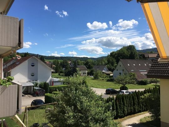 ONLY 5 MINUTES FROM FRICK! SUPER APARTMENT IN UEKEN - Photo 1