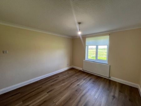 Little Green - Photo 3