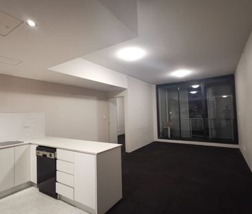 Unfurnished Large size 1 Bed Apartment in Chippendale - Photo 3