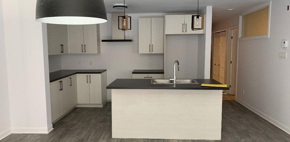 MAGNIFIQUES 51/2 - LIBRE IMMÉDIATEMENT, JUIN ET JUILLET 2026 - Photo 2