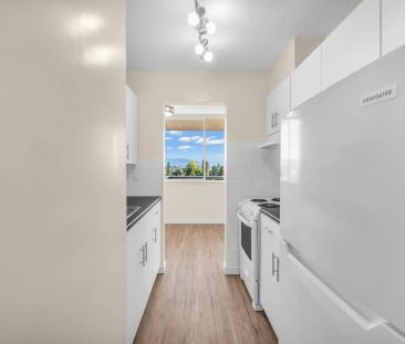 ED. HAMILTON — 1 Bed 1 Bath A - EDH - Photo 3