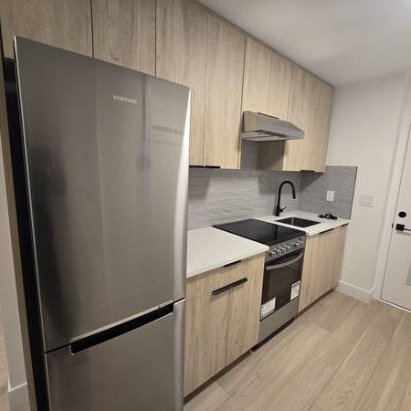 2 Bedroom 1 Bath Brand New Suite Joyce Collingwood - Photo 3