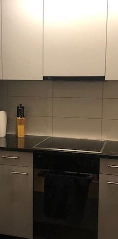 Singlewohnung im westlichen Dietikon - Foto 1