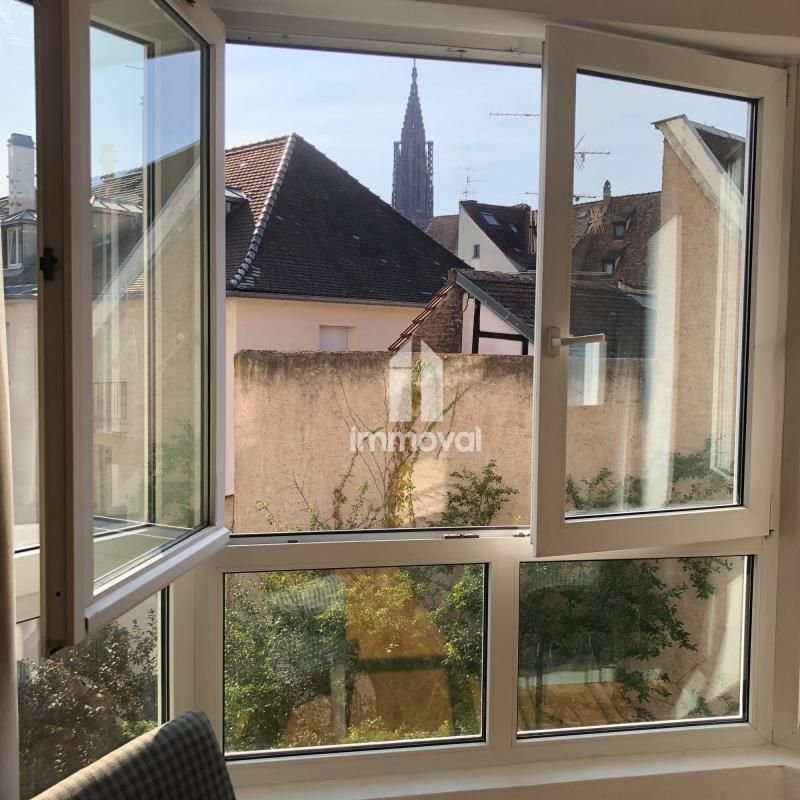 Location Appartement 1 pièce Meublé 30m² STRASBOURG 67000 - Photo 1