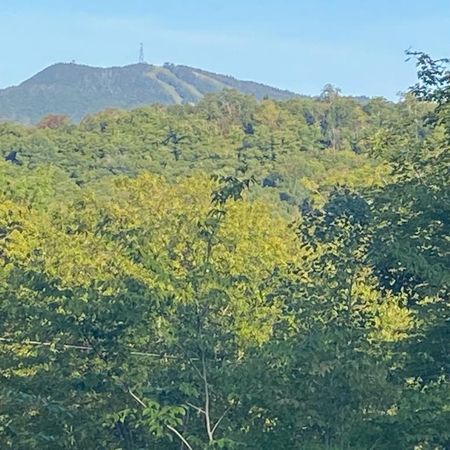 3 ½ , à louer, avec ACCÈS au Lac-Supérieur (vue sur Mont-Tremblant) - Photo 3