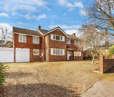 Court Green Heights, Woking - 5 bedrooms Property for lettings - Se... - Photo 4