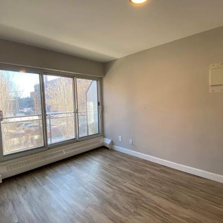 1 CH - 1 SDB - Montréal - $1,375 /mo - Photo 3