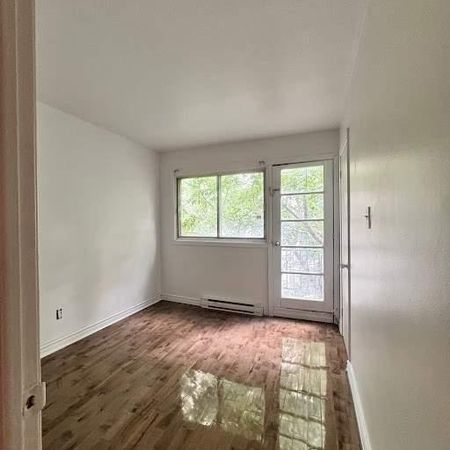 1 CH - 1 SDB - Montréal - $1,300 /mo - Photo 3