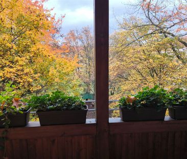 Tolle 2 R-Altbauwohnung mit viel Charme, Bad mit Wanne, gemütlicher... - Foto 1