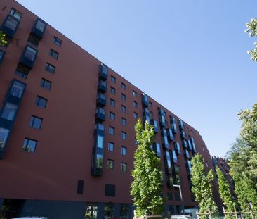 Apartament 2pok I Business Garden I CH Magnolia - Photo 6