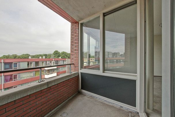Te huur: Appartement Oranjerivierdreef 6 G in Utrecht - Photo 1