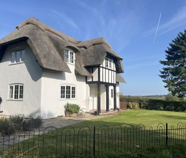 3 bedroom cottage to rent - Photo 6