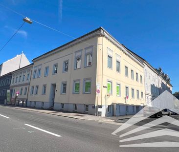 Neu sanierte 2-Zimmer Wohnung mit Küche in LINZ-URFAHR! - Photo 3